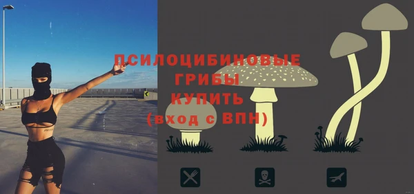 2c-b Алзамай
