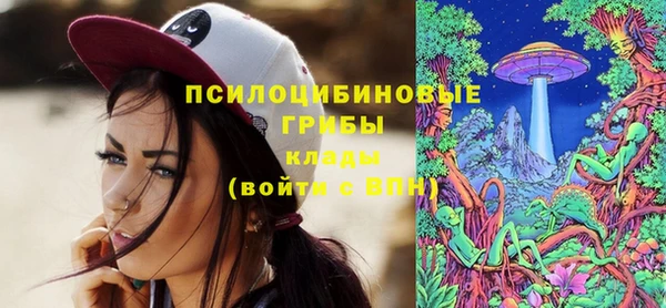 2c-b Алзамай