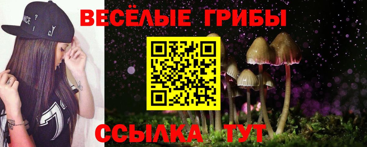 Псилоцибиновые грибы Cubensis  Вход с VPN  наркота  Асбест 