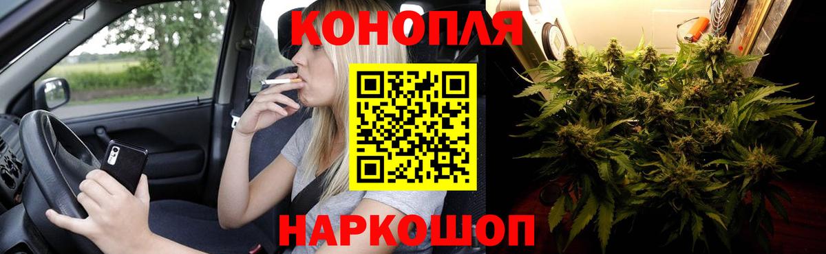 Каннабис сатива  Марихуана сатива  Асбест  Каннабис сатива  Вход с VPN  Бошки Шишки OG Kush 